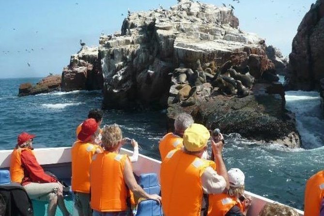 Paracas Full Day (Ballestas Islands) - Itinerary