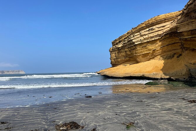 Paracas National Reserve by Tourist Bus - Operational Info