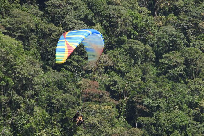 PARAGLIDING OVER GUACAICA JUNGLE and CANYONING From Guatape - Paragliding in Guacaica Jungle