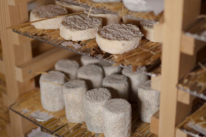 Paris Living Museum of Cheese Ticket With Tasting Included - Ticket Details