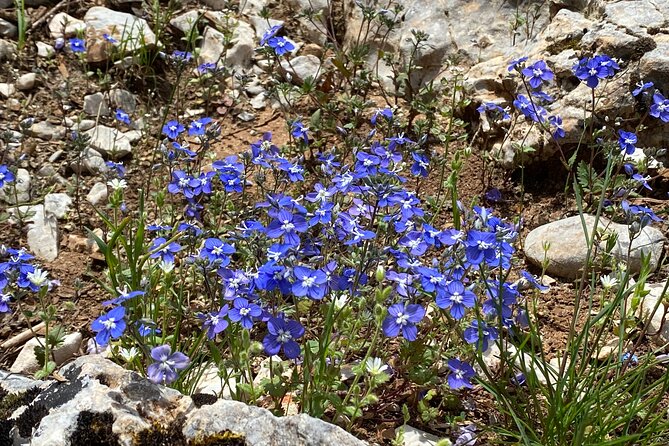 Parnitha Mountain Private Hiking Tour - Included Equipment and Supplies