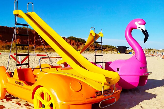 Pedal Boat: Seagull in Albufeira 60min - Accessibility Features