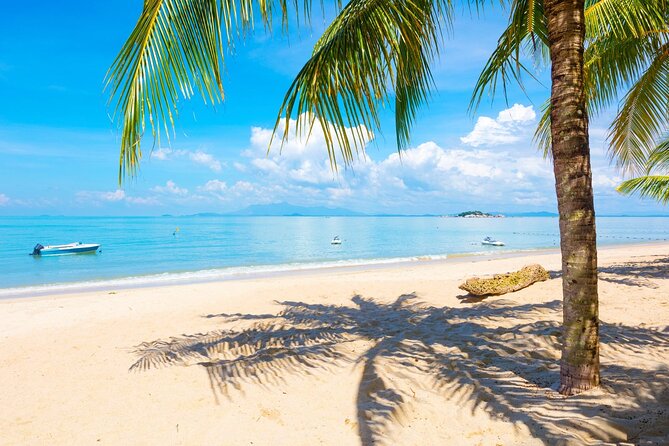 Penang Full Day Tour - Maximum Travelers and Transportation