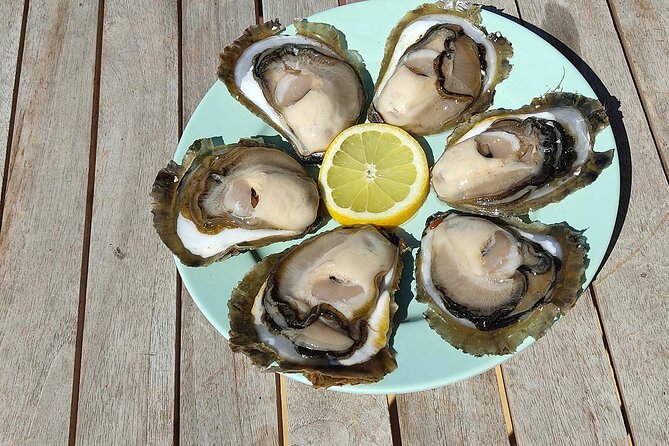 Perfect Private Oyster and Wine Tasting With Boat Ride - Culinary Delights