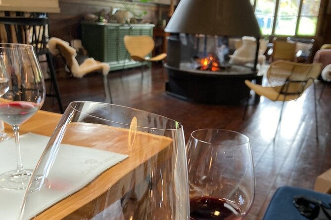 Pick up San Antonio, Visit Casa Marín Winery & Transfer to Hotel - Inclusions of the Tour