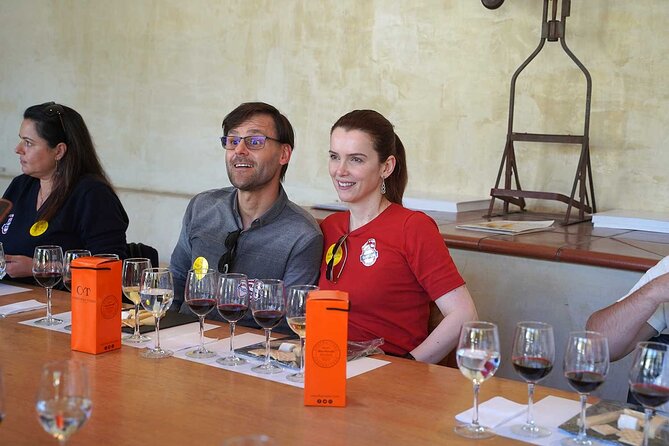 Pick up San Antonio Visit Concha Y Toro Winery & Leave in Hotel - Whats Included in the Package