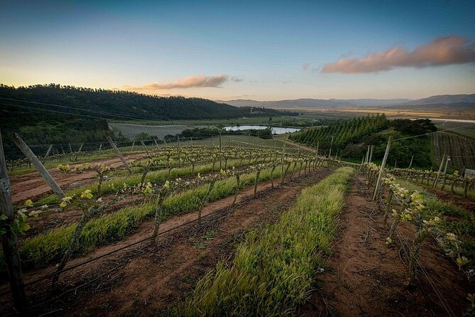 Pick up Valparaiso, Visit Kingston Winery & Transfer to Hotel - Pickup Information