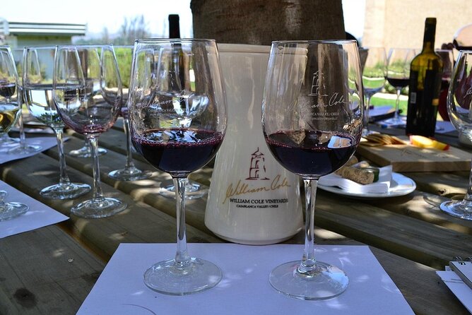 Pick up Valparaiso Visit William Cole Winery & Transfer to Hotel - Inclusions