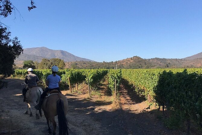 Pickup San Antonio Port, Visit Matetic Winery & Transfer to Hotel - Whats Included in the Experience