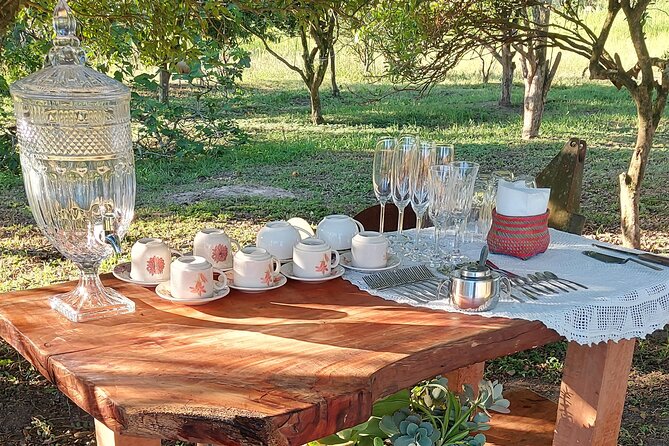 Picnic at the Illuminated Fig Tree - Location and Meeting Point