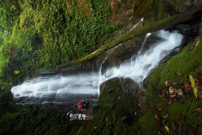 Pico Bonito Nature Reserve - Pickup Details and Schedule