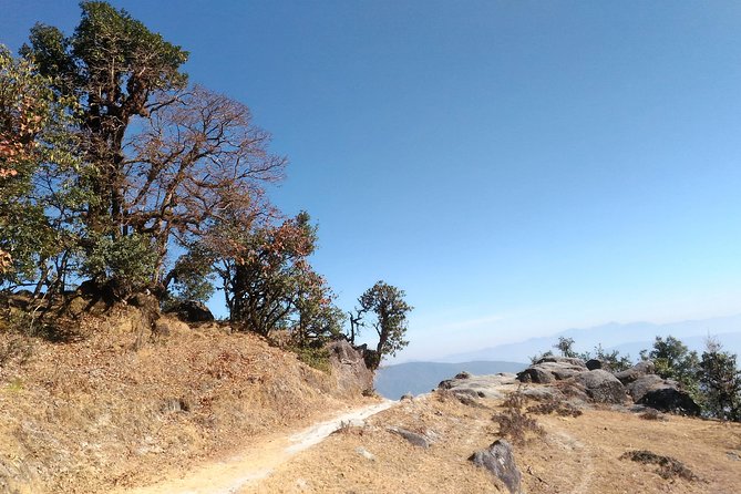Picturesque Binsar With Trekking in Himalayas - Tour Highlights