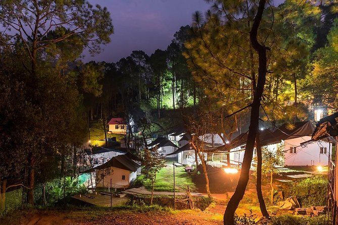 Pine Forest Camping Near Shimla - 2 Nights - Meeting and End Point