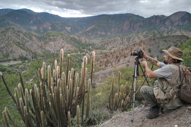 Plants and Habitats in the Elbow of the Andes - Diverse Fauna Habitats