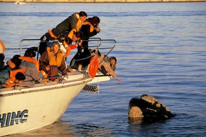 Playa El Doradillo City Tour - Insider Tips