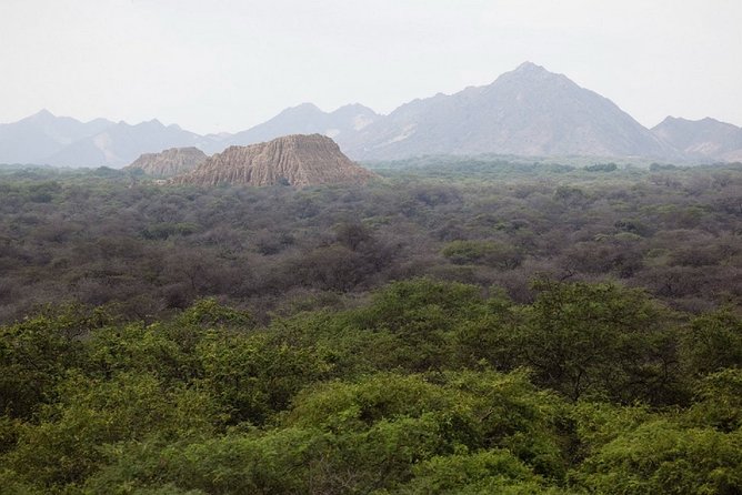 Pomac Forest Historic Sanctuary & Sican Museum - Inclusions and Pickup Points