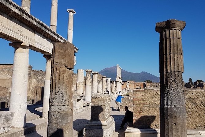Pompeii and Herculaneum Guided Tour With an English-Speaking Archaeologist - Tour Inclusions