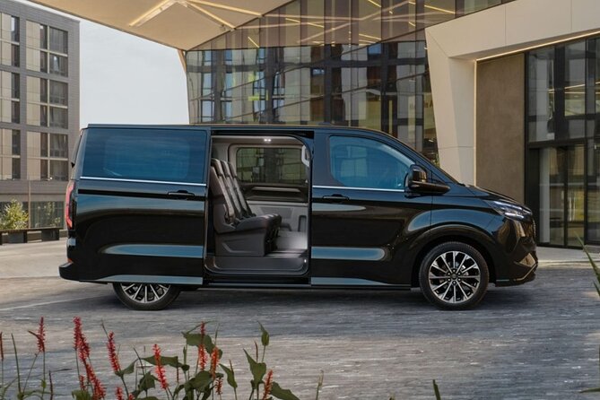 Pompeii and Mount Vesuvius Wine Tasting Private Tour From Naples - Inclusions and Experiences