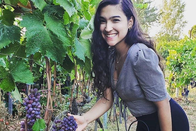 Pompeii Private Tour + Wine Tour and Tasting Menu Near Vesuvius - Inclusions