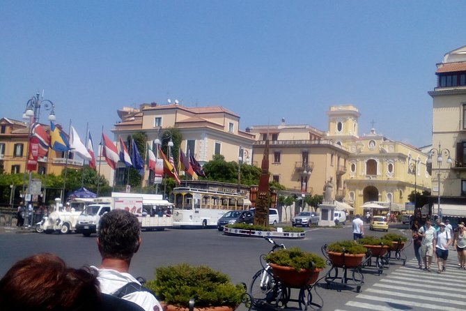 Pompeii Skiptheline and Amalfi Coast Shoreexcursion From Naples or Salerno Port - Logistics