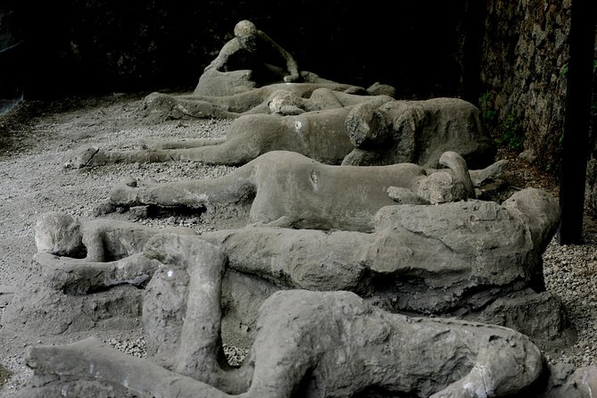 Pompeii Tour : Skip the Line Tour With an Archeologist (Small-Group) - Accessibility Information