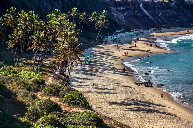 Praia De Pipa Private Transfer From Natal Airport - Additional Information