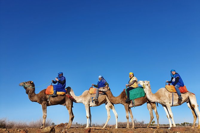 Premium Full-Day Tour To Atlas Mountains & The Berber Villages - Pricing and Booking