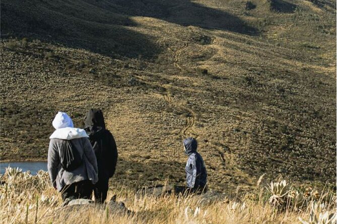Premium Wellness Package at Neusa Reservoir From Bogota - Highlights of the Neusa Reservoir