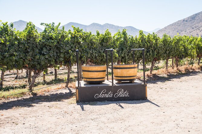 Premium Wine Tasting and Tour at Santa Rita With Transport - Tour Highlights