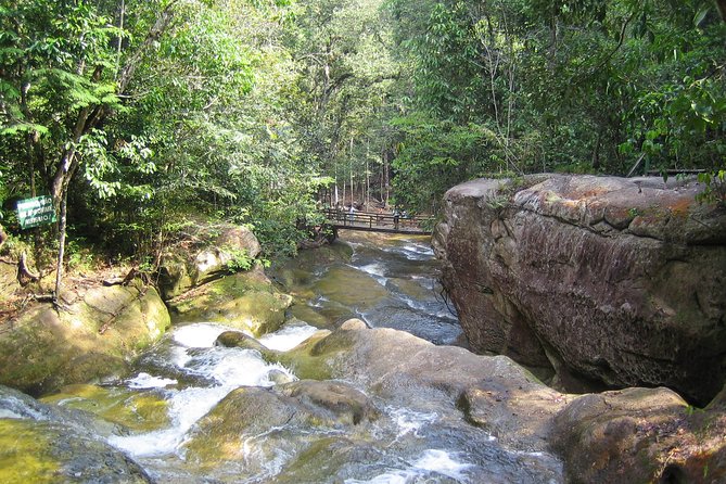 Presidente Figueiredo Waterfalls Day Trip From Manaus - Additional Information