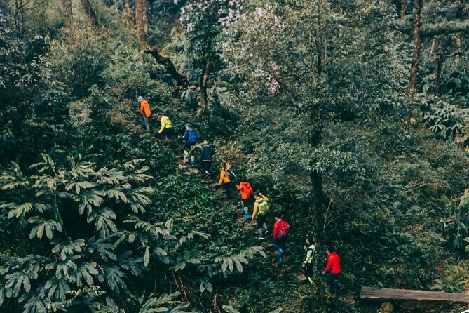Private 1 Day Fansipan Conquering And Trekking - Group Size and Pricing
