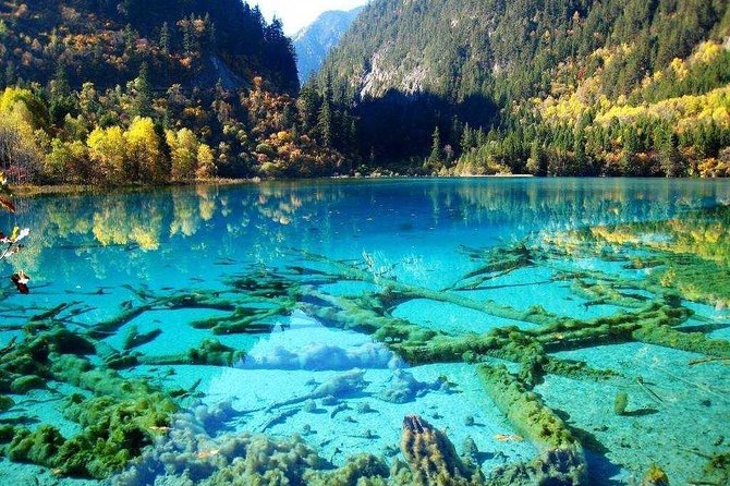 Private 3-Day Jiuzhaigou And Huanglong National Parks Tour Combo Package - Tour Inclusions