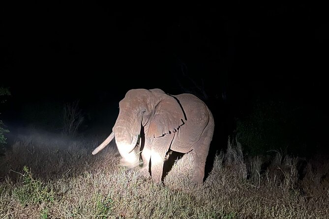 Private 3 Days Train Package Lumo Conservancy (Taita Hills) - Pickup Details