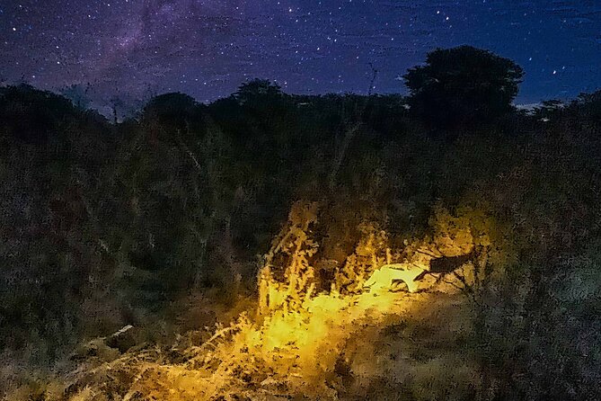 Private 4x4 Night Safari Tour in Victoria Falls - Location