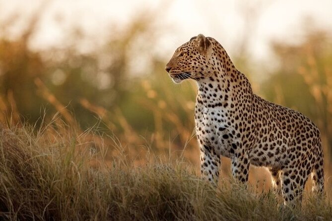 Private 7 Days Tour to the Big Five Wildlife in Sri Lanka - Inclusions and Exclusions