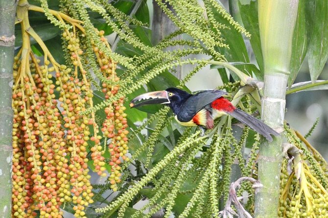 Private 8-Day Costa Rica Luxury Tour - Inclusions and Exclusions