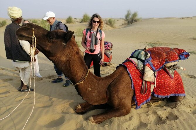 Private 8-Day Golden Triangle Tour With Royal Rajasthan - Tour Overview