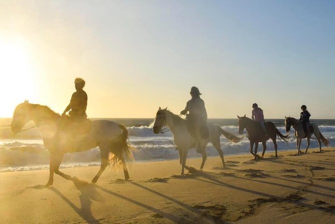 Private Alentejo Tour With Lunch and Horseback Ride Along Melides Beach - Inclusions