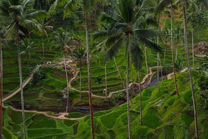 Private All Day Trip Around 3 Days in Bali Ultimate Tours - Meeting, Pickup, and Additional Information
