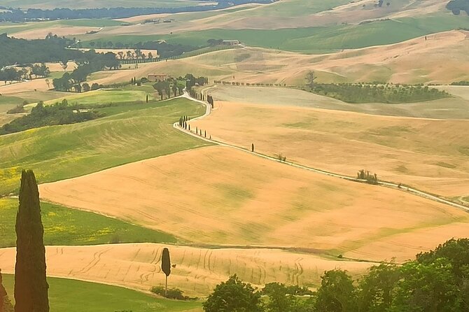 Private Art & Wine Tour in Cortona & Montepulciano, With Lunch & 2 Wine Tastings - Wine Tasting Experiences