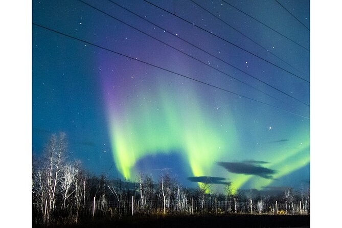 Private Aurora Borealis Tour Kiruna Abisko With Street Food - Refreshments on the Tour