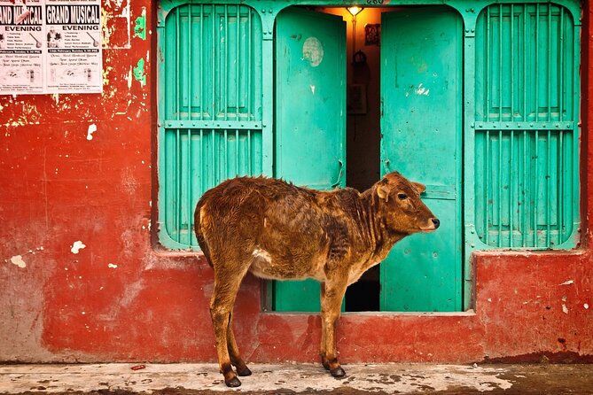 Private Best Old and New Delhi Tour - Pickup Information