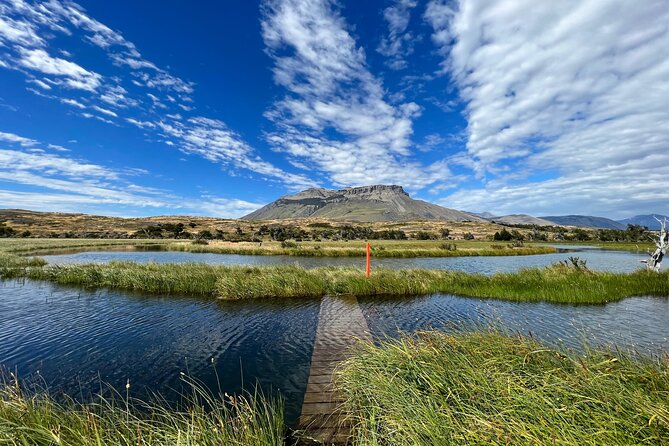 Private Bird Watching Experience in Cerro Castillo - Expert Birding Guide Included