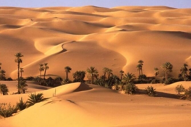 Private Black and White Desert Tour in Bahariya Oasis