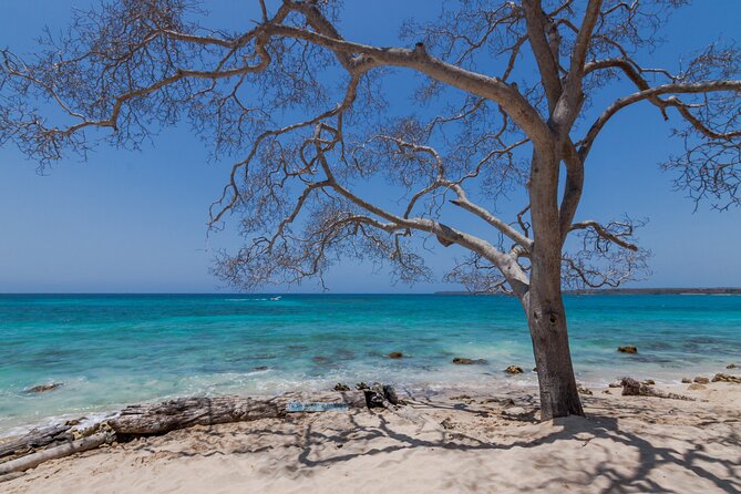 Private Boat Tour of the Rosario Islands - Cancellation Policy