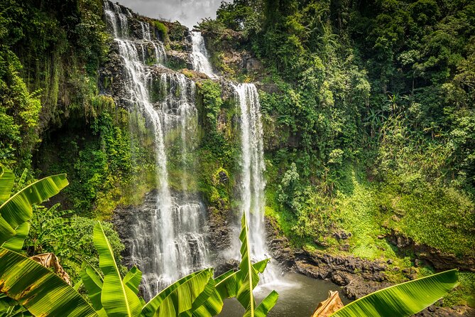 Private Bolaven Plateau Waterfall Trek Tour in Pakse - Pick-Up Services
