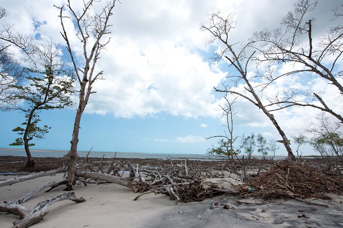 Private Buggy Tour To Mangue Seco - Inclusions and Features