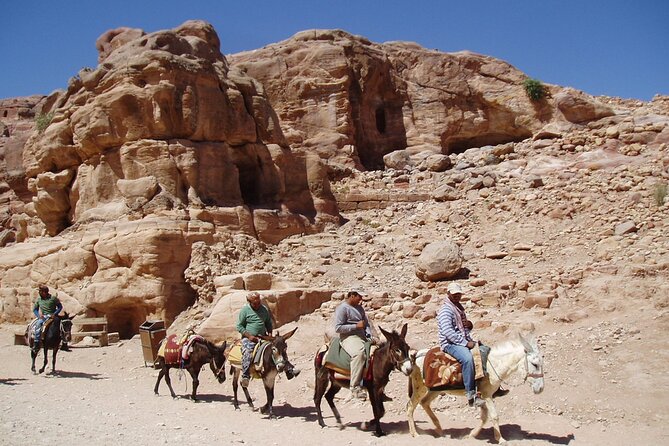 Private Camel, Horse or Donkey Ride in Luxor - Activity Overview