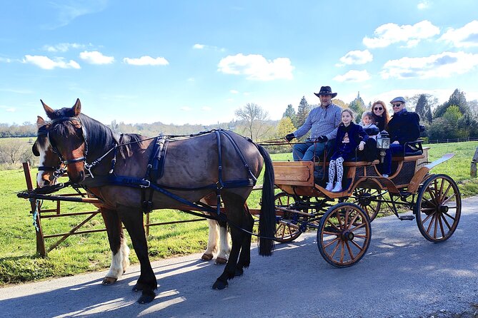 Private Carriage Ride in Saint-Pierre-Azif - What To Expect During the Ride