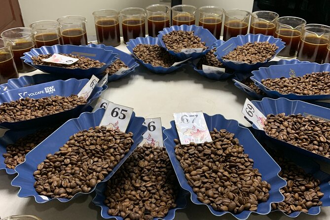 Private Coffee Tasting and Pairing Class - Location and Meeting Point